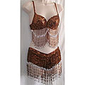 Bad Sushi Bronze Belly Dancing Costume