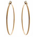 14k Yellow Gold Plain Round Hoop Earrings