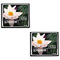 Kingston 2 GB Compact Flash Memory Card (Case of 2)