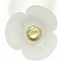Frosted Glass and Satin Brass Knob