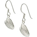 Sterling Silver Sea Shell Earrings