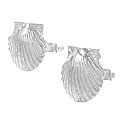 Sterling Silver Sea Shell Earrings