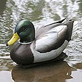 Wood 'Male Mallard' Statuette (Indonesia)