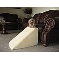 PetStairz Puppy and Kitten Ramp