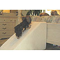PetStairz Medium Foam Pet Ramp