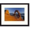 'Delicate Arch, Utah' Framed Art Print