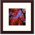Galen Saturley 'Ascending Fall' Framed Art Print