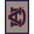 Auburn University Area Rug (3'10 x 5'4)