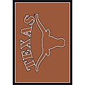 University of Texas Area Rug (5'4 x 7'8)