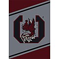 University of South Carolina Area Rug (5'4 x 7'8)