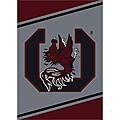 University of South Carolina Area Rug (3'10 x 5'4)