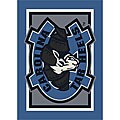 University of North Carolina Rug (5'4 x 3'10)