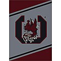 University of South Carolina Area Rug (2' x 3')