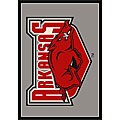 University of Arkansas Fayetteville Area Rug (5'4 x 7'8)