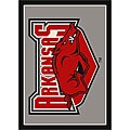 University of Arkansas Fayetteville Rug (3'10 x 5'4)