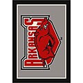 University of Arkansas, Fayetteville Area Rug (2'8 x 3'10)