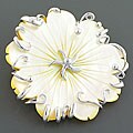 Sterling Silver Mother of Pearl Pendant (Thailand)