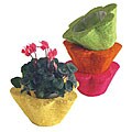 Sisal Summer Brights 6-inch Planters (Set of 4)