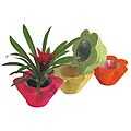 Sisal Summer Brights 4-inch Planters (Set of 4)