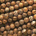 Desert Jasper 6 mm Round Yellow Brown Beads