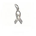 Sterling Silver Awareness Ribbon Charm Pendant