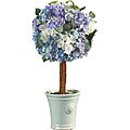 Hydrangea Ball Topiary