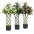 Twisted Dracaena Silk Plant