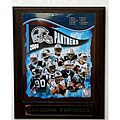 2008 Carolina Panthers Picture Plaque