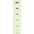 Spiders on a String