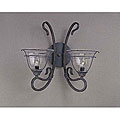 Copper Patina 2-light Wall Sconce