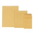 Redi-seal Kraft Plain Large Envelope (Box of 100)