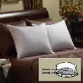 Luxurious 680 Thread Count All Down Halo Pillow