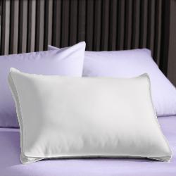 Extra Firm 3-inch Gusset Natural Pillows (Set of 2)