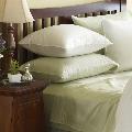 White Down 300 Thread Count Egyptian Cotton Pillows (Set of 2)