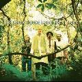 Derek Trucks Band - Joyful Noise