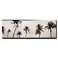 Eric Mull 'Black & White Palms' Canvas Art
