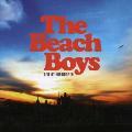 The Beach Boys - Live At Knebworth [6/5]