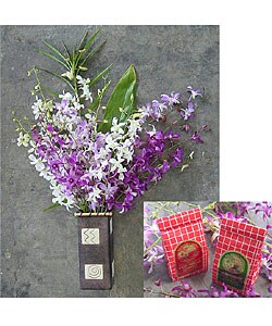 Hawaii Orchids and Big Island Cookie Gift Pack