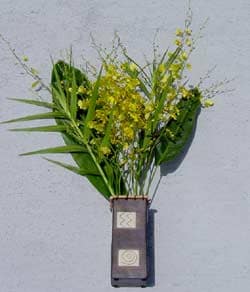 6 Stems Oncidium Orchids