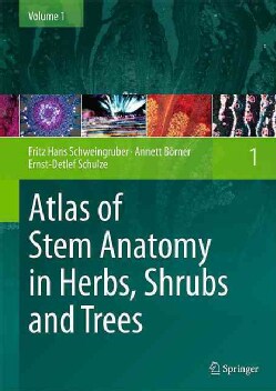 Atlas Of Stem Anatomy In Herbs, Shrubs And Trees (hardcover)