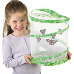 Butterfly Garden