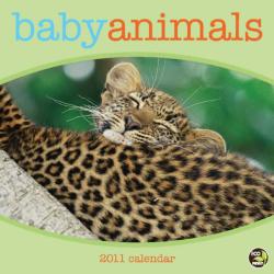 Baby Animals 2011 Calendar (Calendar)