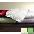 Egyptian Cotton 400 Thread Count Down Blend Blanket