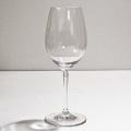 Capri Clear White Wine Goblet (Pack of 12)