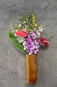 Dendrobium/Oncidium/Anthurium Assortment 12 pcs