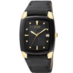 Citizen Men's Eco-drive Leather Watch