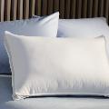 Personal Choice 300 Thread Count Circle of Down Pillows (Set of 2)
