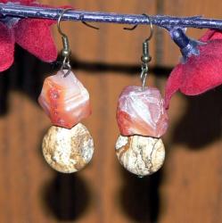 Susen Foster Bronze Walk in the Woods Carnelian and Jasper Earrings
