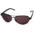 Jimmy Choo 'Cher' Shiny Black/ Burgundy Sunglasses