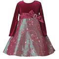 Bonnie Jean Girl's Burgundy Floral Dress
